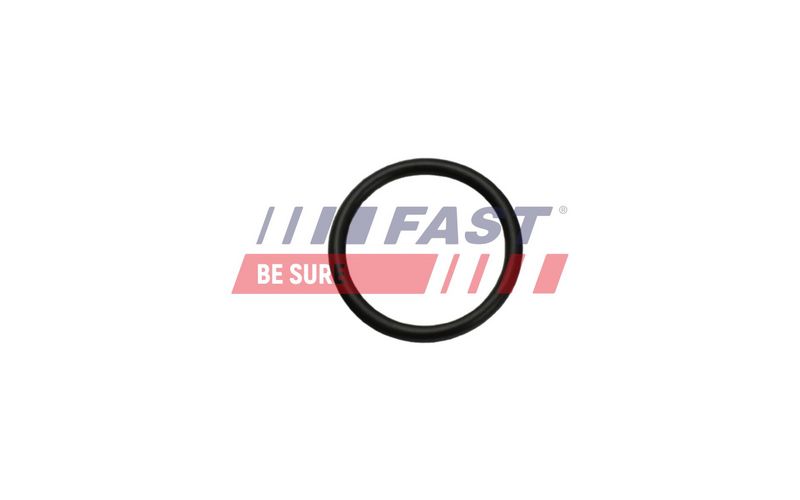 FT49926 FAST - УЩІЛЬНЮЮЧЕ КІЛЬЦЕ FIAT DUCATO 06> ТЕПЛООБМІННИК