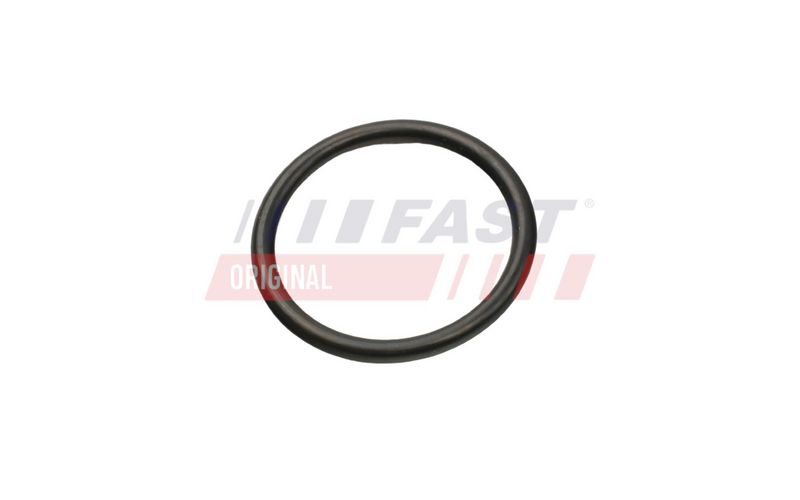 FT49927 FAST - УЩІЛЬНЮЮЧЕ КІЛЬЦЕ FIAT DUCATO 06> КОРПУС ТЕРМОСТАТА 2.2 HDI