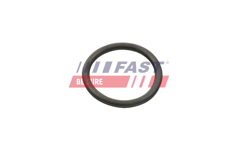 FT49934 FAST - УЩІЛЬНЮЮЧЕ КІЛЬЦЕ CITROEN JUMPER 06> НАСОС РІДИНИ ОХОЛОДЖЕННЯ 2.2 HDI