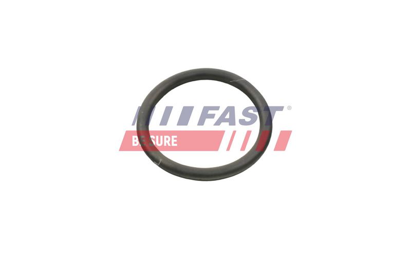 FT49934 FAST - УЩІЛЬНЮЮЧЕ КІЛЬЦЕ CITROEN JUMPER 06> НАСОС РІДИНИ ОХОЛОДЖЕННЯ 2.2 HDI
