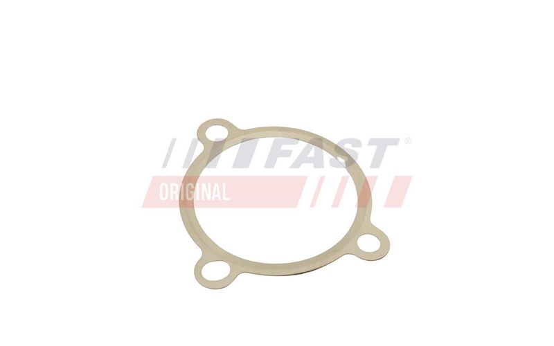 FT50605 FAST - ПРОКЛАДКА КЛАПАНУ EGR RENAULT TRAFIC 01> 2.5 dCi 135 03>