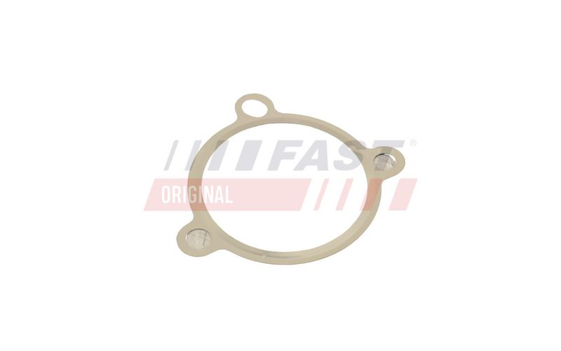 FT50605 FAST - ПРОКЛАДКА КЛАПАНУ EGR RENAULT TRAFIC 01> 2.5 dCi 135 03>