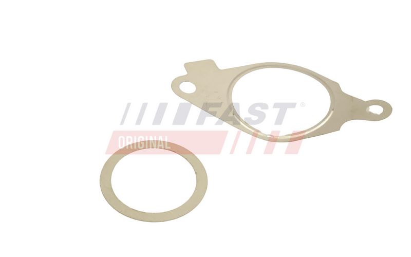 FT50614 FAST - ПРОКЛАДКА КЛАПАНУ EGR FIAT DOBLO 09> КОМПЛЕКТ 1.3 JTD 10>