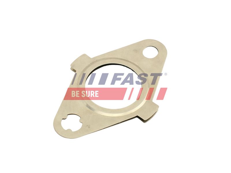 FT50627 FAST - ПРОКЛАДКА КЛАПАНУ EGR RENAULT KANGOO II 08> 1.5 dCi 12>