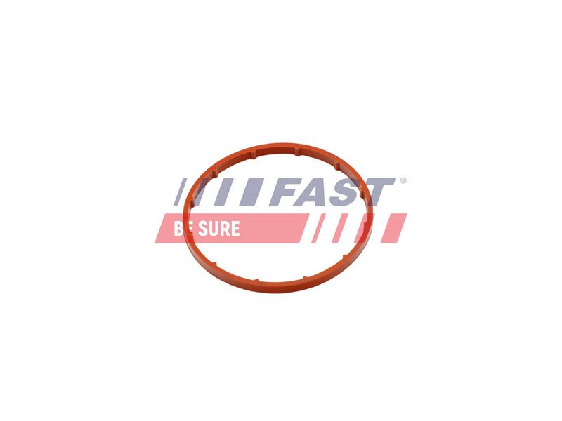 FT50701 FAST - ПРОКЛАДКА ВАКУУМНОГО НАСОСУ CITROEN BERLINGO 96> 2.0HDI/2.2HDI