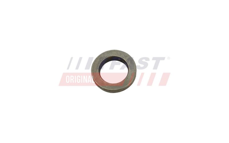 FT53851 FAST - ПІДКЛАДКА FIAT DUCATO 06>/ 14> БОЛТ ФОРСУНКИ 2.3 / 3.0 JTD