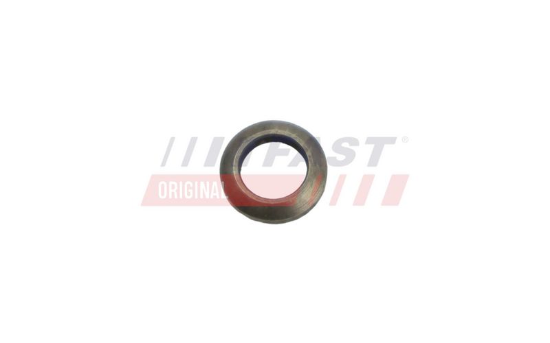 FT53851 FAST - ПІДКЛАДКА FIAT DUCATO 06>/ 14> БОЛТ ФОРСУНКИ 2.3 / 3.0 JTD