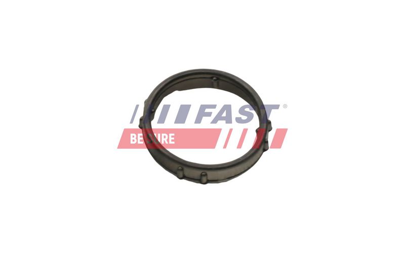 FT57406 FAST - ПРОКЛАДКА НАСОСУ ОХОЛОДЖЕННЯ CITROEN JUMPER 06> 2.2 HDI