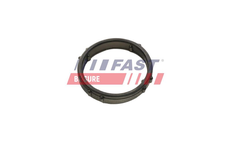 FT57406 FAST - ПРОКЛАДКА НАСОСУ ОХОЛОДЖЕННЯ CITROEN JUMPER 06> 2.2 HDI
