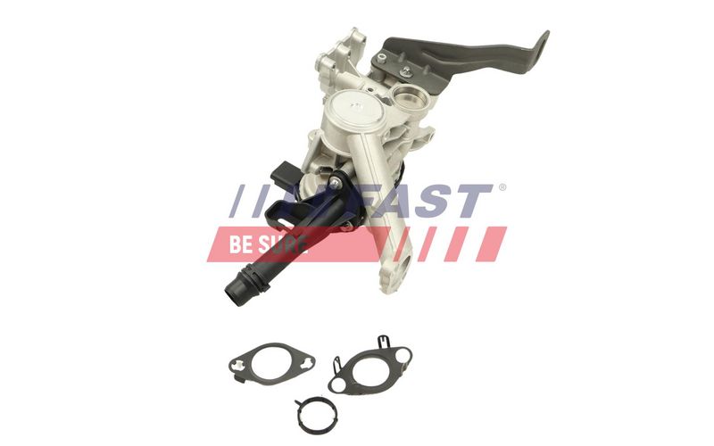 FT60246 FAST - КЛАПАН EGR CITROEN BERLINGO 08> 1.6 BlueHDi 100 14>