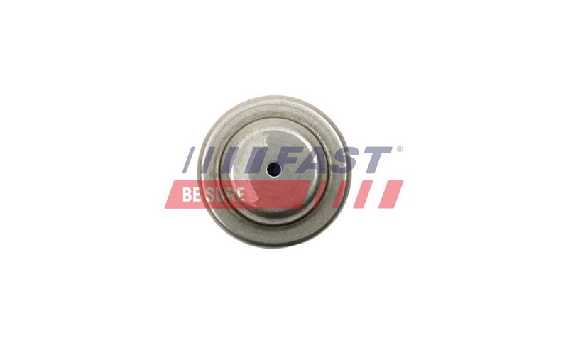 FT62604 FAST - ПІДШИПНИК КОЛІНВАЛУ FORD TRANSIT 13> МАХОВИК 2.2 TDCI