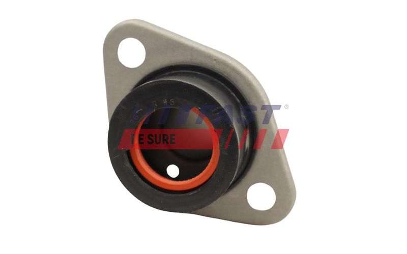 FT62708 FAST - ВТУЛКА КПП CITROEN JUMPER 02> ПЕРВИННИЙ ВАЛ УЩІЛЬНЮВАЧ 2.0HDI MLUC BOX >02