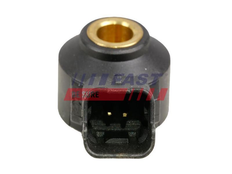 FT75585 FAST - ДАТЧИК ДЕТОНАЦІЇ FIAT FIORINO 07> 1.4 2-PIN