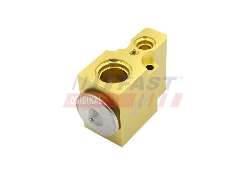 FT83013 FAST - КЛАПАН КОНДИЦІОНЕРА RENAULT MASTER II 98> 1.9 dCi