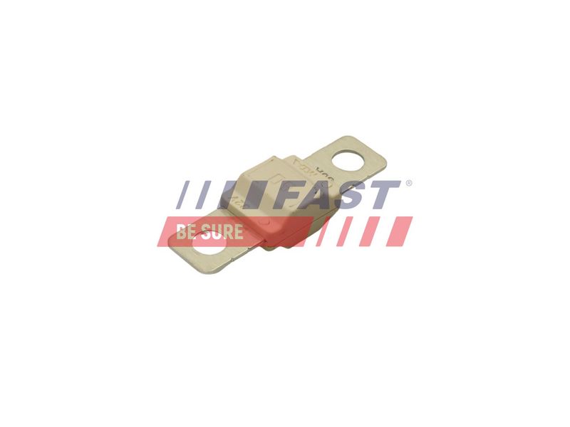 FT83405 FAST - ЗАПОБІЖНИК IVECO DAILY 06> 80 A