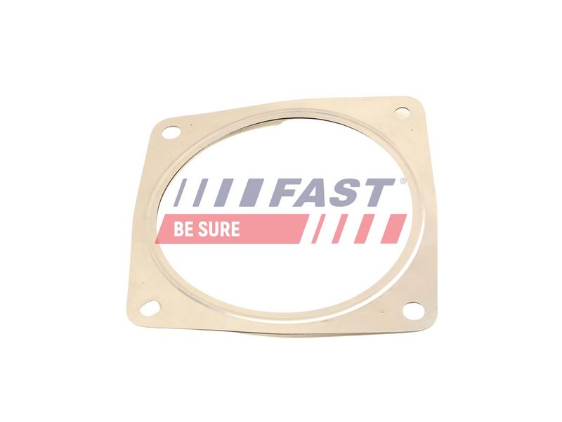 FT84815 FAST - ПРОКЛАДКА ГЛУШНИКА FIAT SCUDO 07> 2.0 JTD