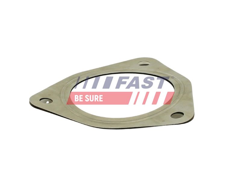 FT84820 FAST - ПРОКЛАДКА ГЛУШНИКА FIAT DUCATO 06> 3.0 JTD