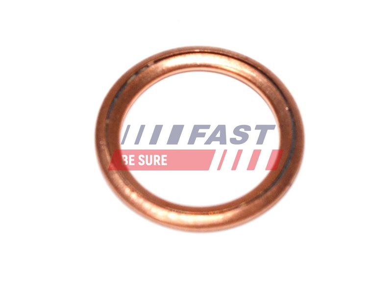 FT94716 FAST - ШАЙБА ПРОБКИ МАСЛЯНОГО ПІДДОНУ FIAT DUCATO 06> 16X22