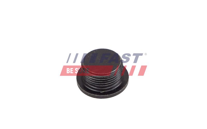 FT94717 FAST - ПРОБКА МАСЛЯНОГО ПІДДОНА FIAT DUCATO 02> 2.5 D M22X1.5X10