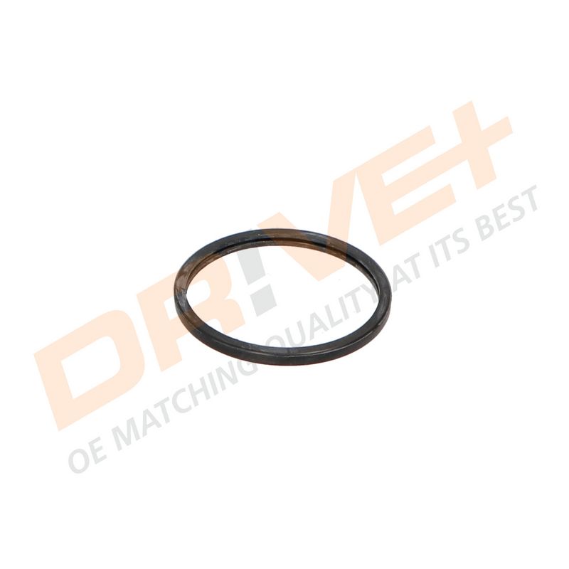 DP2310.14.0018 DRIVE+ Термостат