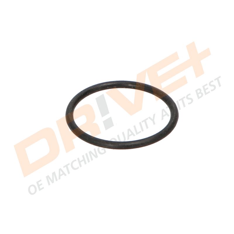 DP2310.14.0021 DRIVE+ Термостат