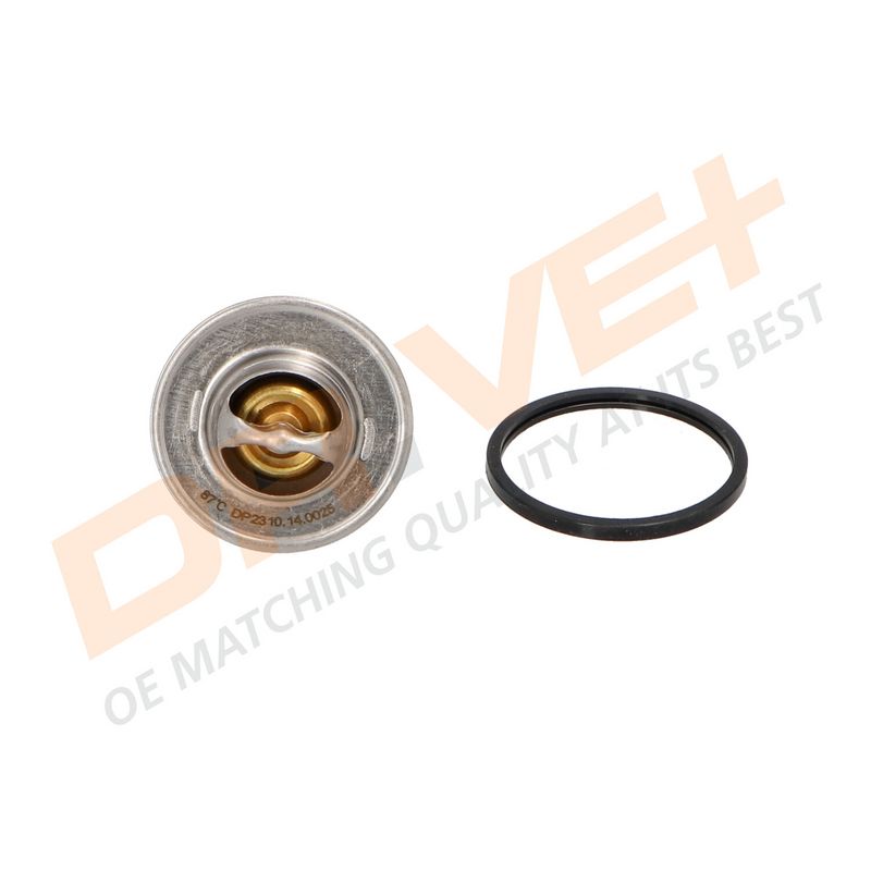 DP2310.14.0025 DRIVE+ Термостат