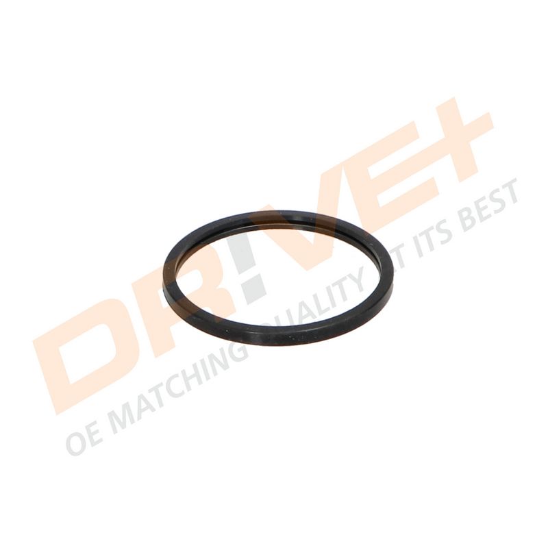 DP2310.14.0025 DRIVE+ Термостат