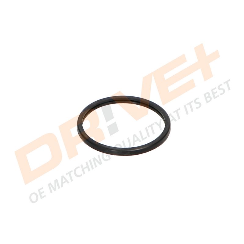 DP2310.14.0026 DRIVE+ Термостат
