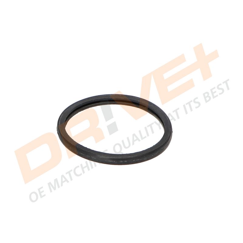 DP2310.14.0081 DRIVE+ Термостат