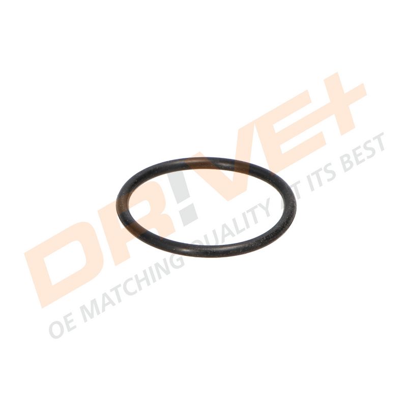 DP2310.14.0094 DRIVE+ Термостат