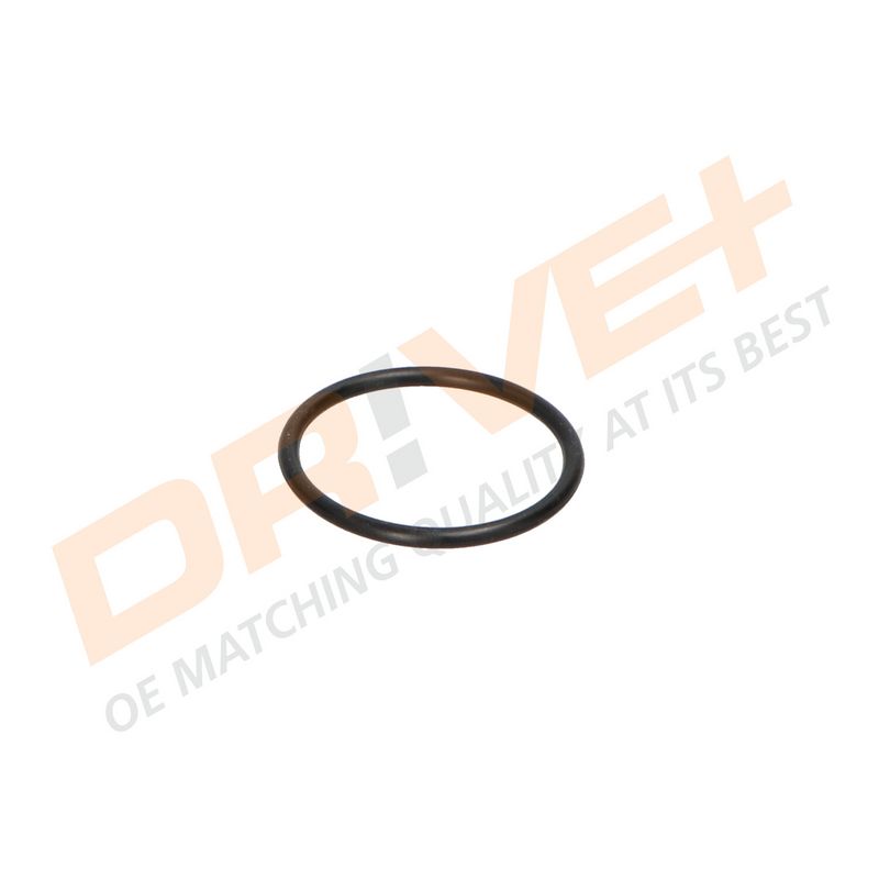 DP2310.14.0096 DRIVE+ Термостат