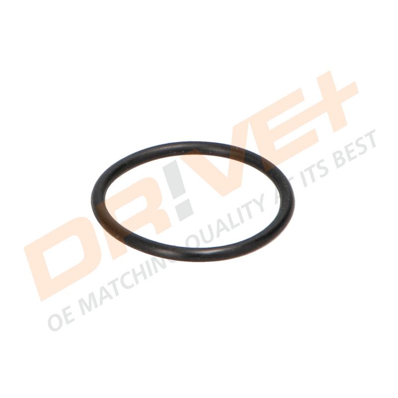 DP2310.14.0097 DRIVE+ Термостат