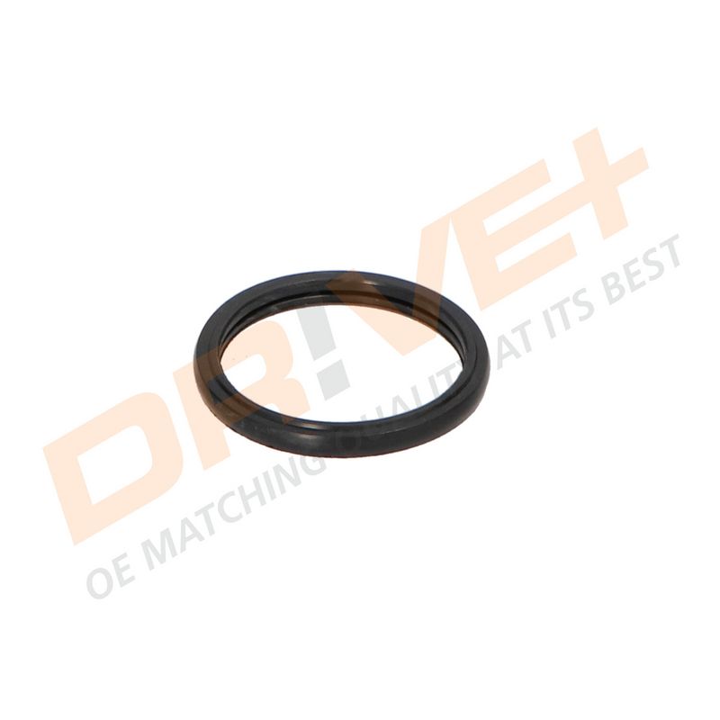 DP2310.14.0188 DRIVE+ Термостат