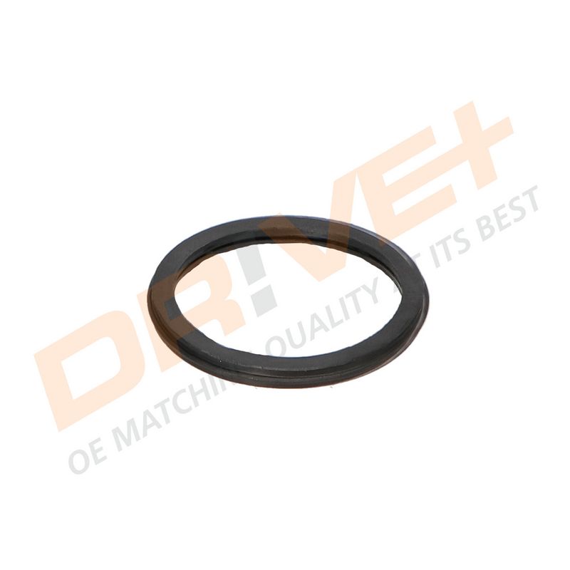 DP2310.14.0189 DRIVE+ Термостат