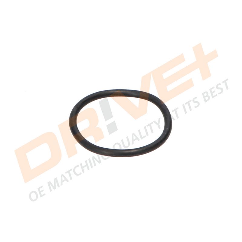 DP2310.14.0195 DRIVE+ Термостат