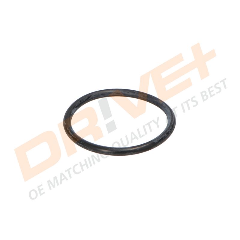 DP2310.14.0214 DRIVE+ Термостат