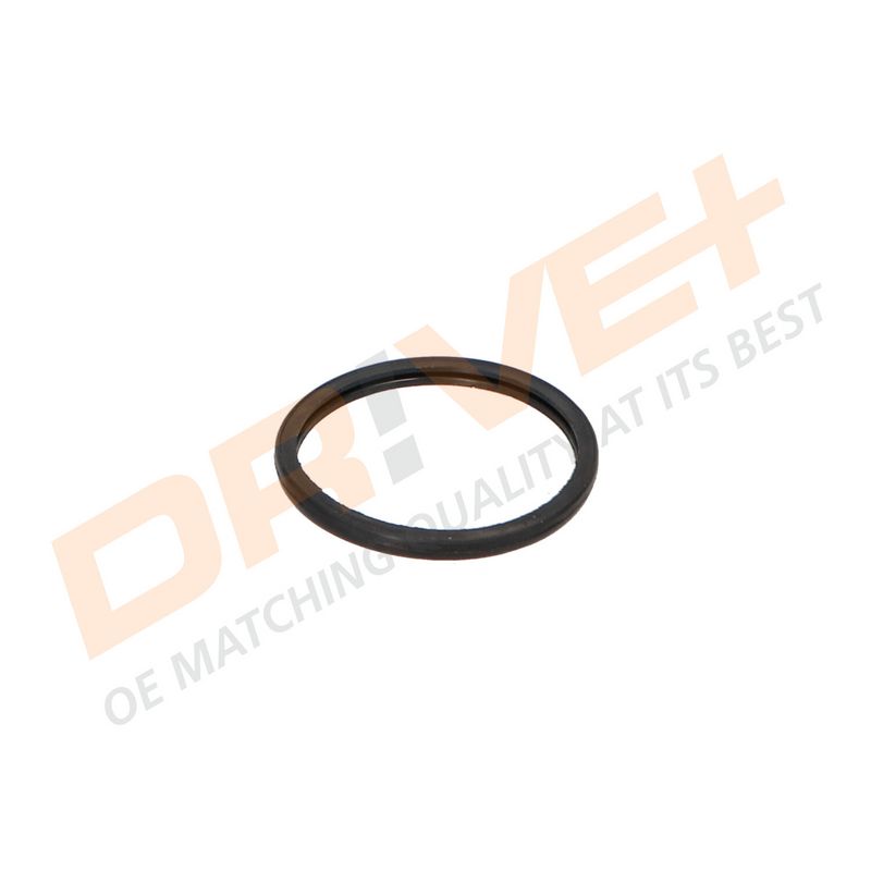 DP2310.14.0218 DRIVE+ Термостат