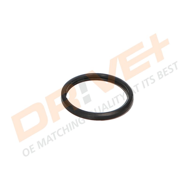 DP2310.14.0231 DRIVE+ Термостат