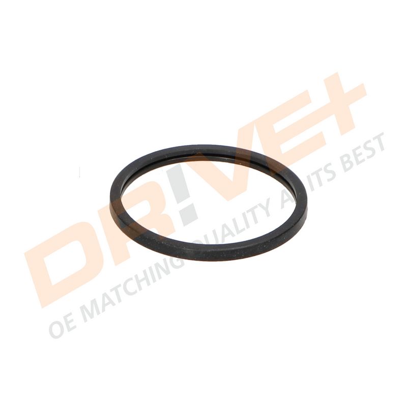 DP2310.14.0254 DRIVE+ Термостат