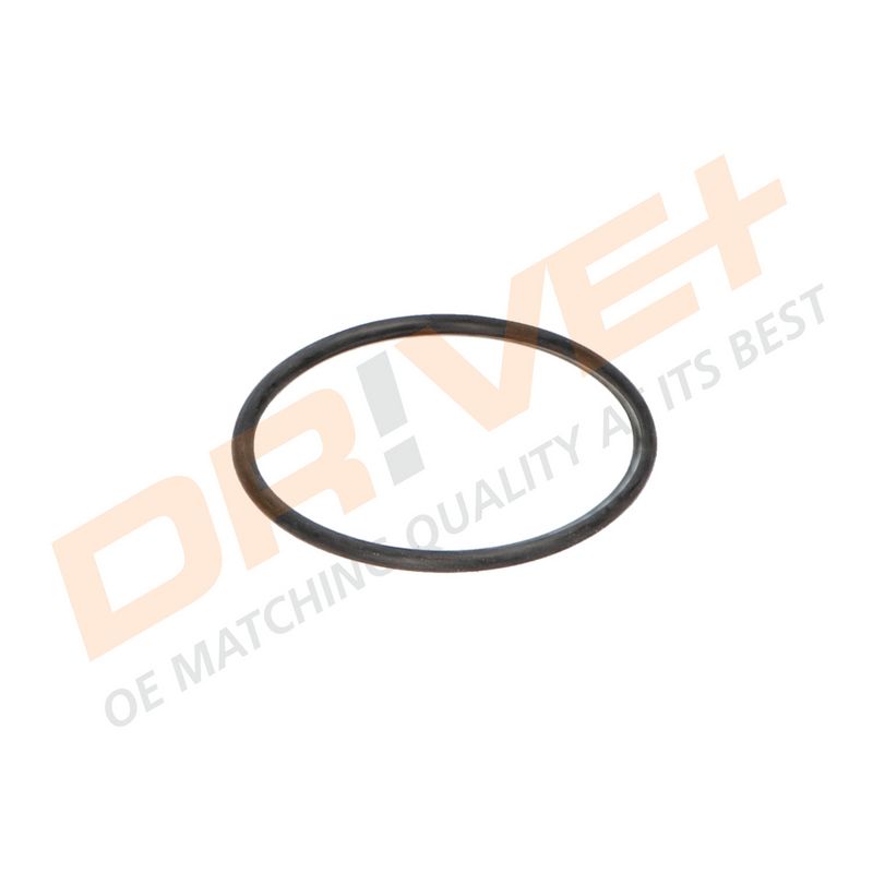 DP2310.14.0261 DRIVE+ Термостат