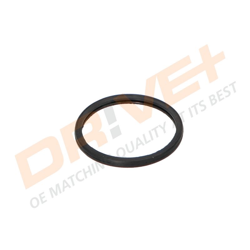 DP2310.14.0263 DRIVE+ Термостат