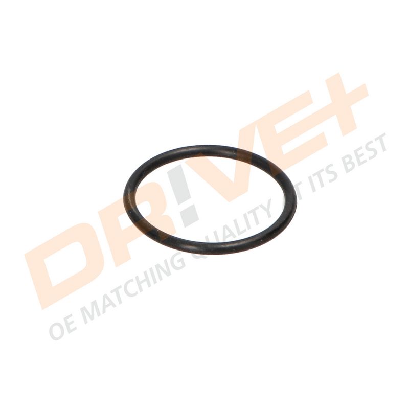 DP2310.14.0265 DRIVE+ Термостат