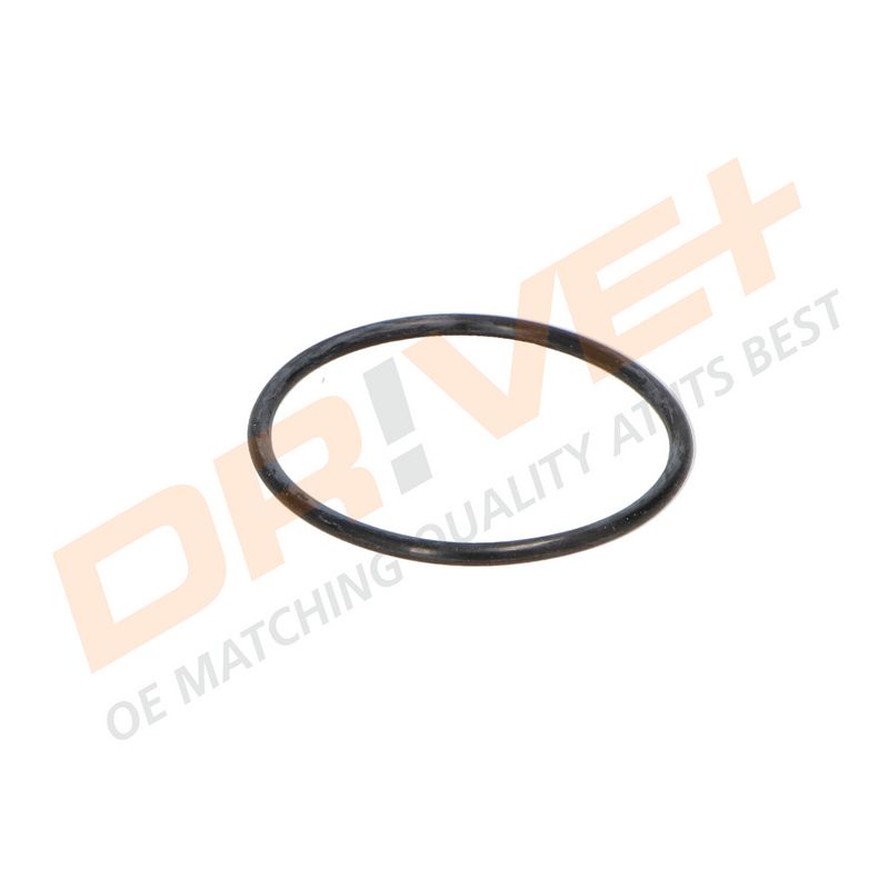 DP2310.14.0290 DRIVE+ Термостат