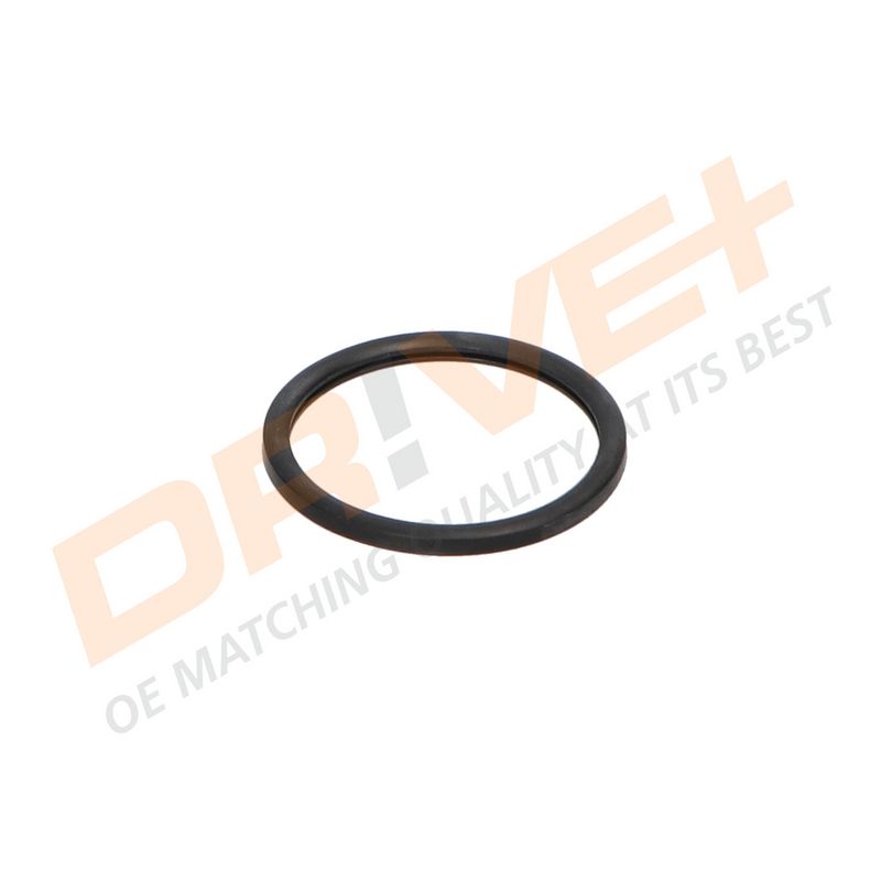 DP2310.14.0293 DRIVE+ Термостат