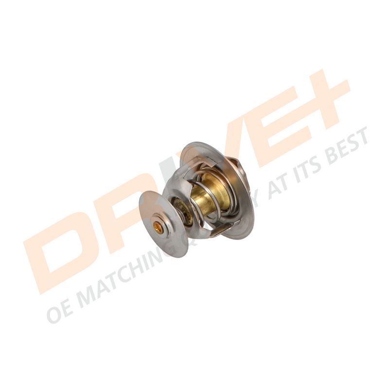 DP2310.14.0293 DRIVE+ Термостат