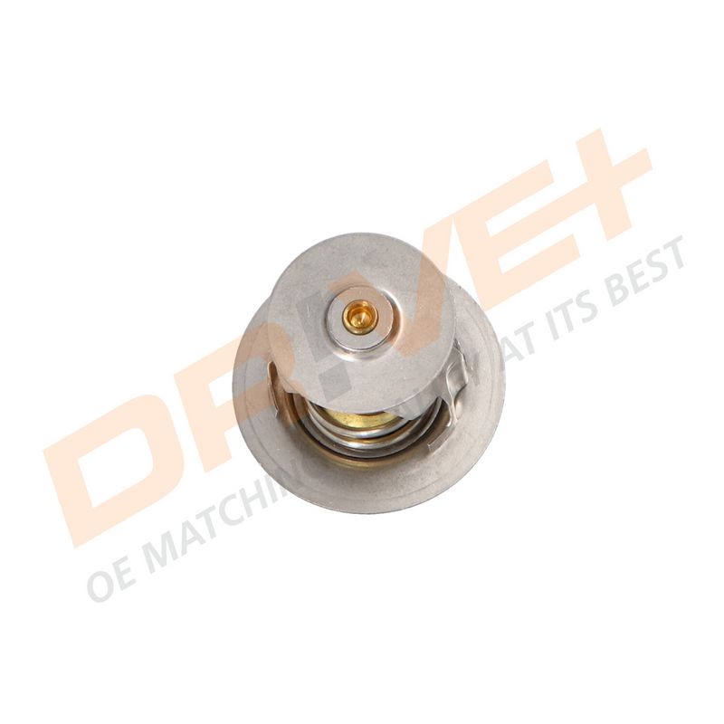 DP2310.14.0293 DRIVE+ Термостат