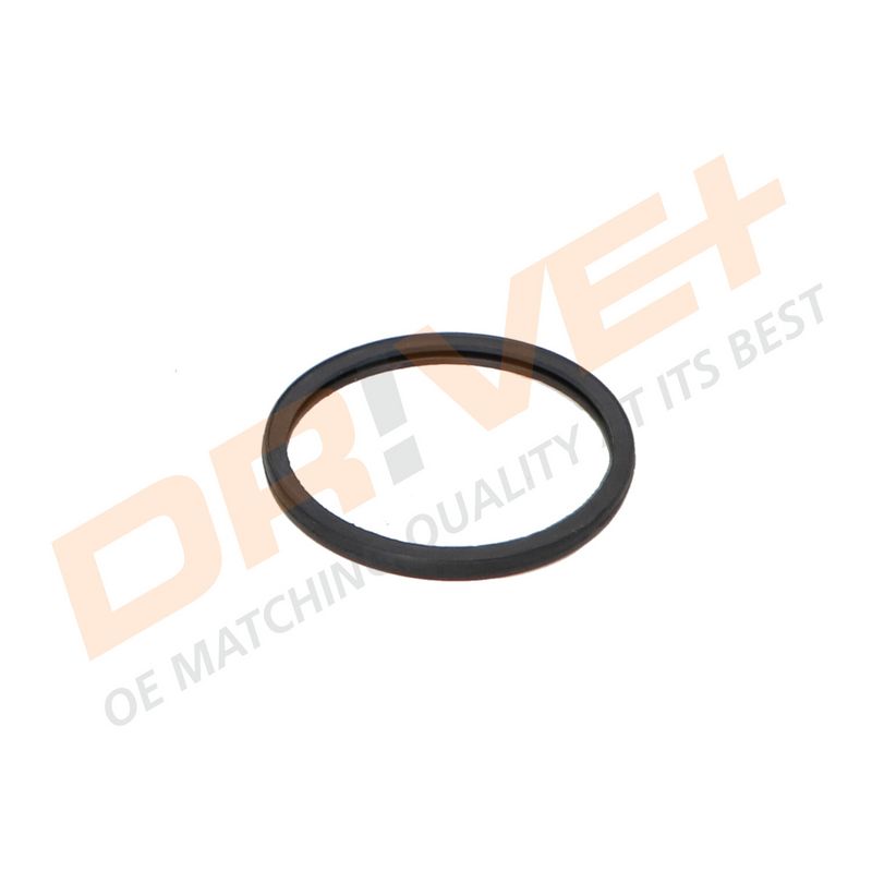 DP2310.14.0313 DRIVE+ Термостат