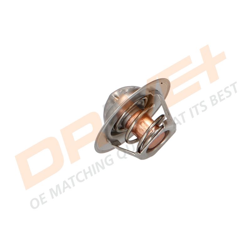 DP2310.14.0313 DRIVE+ Термостат