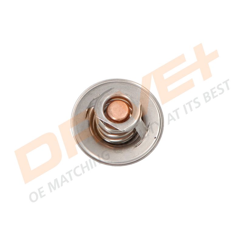 DP2310.14.0313 DRIVE+ Термостат