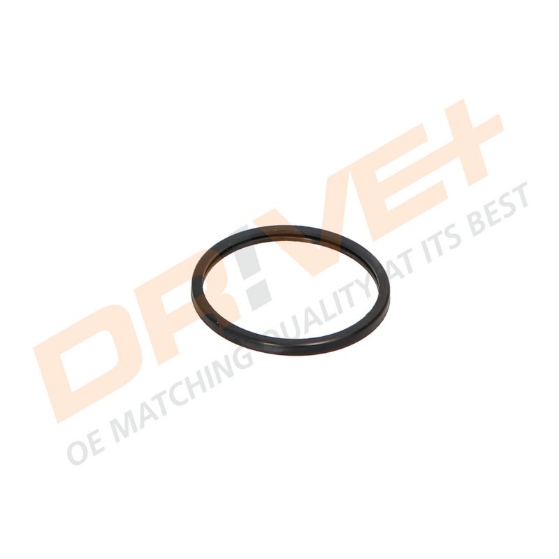 DP2310.14.0322 DRIVE+ Термостат